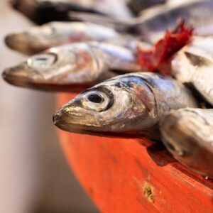 Anchoa y Boquerón