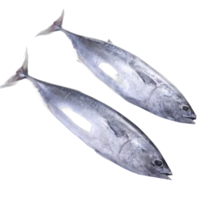 bonito mediterráneo