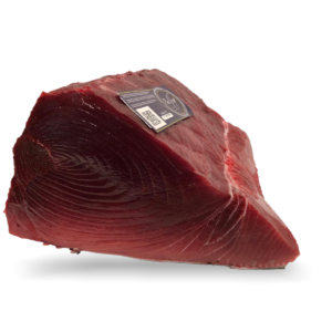 thunnus thynnus lomo
