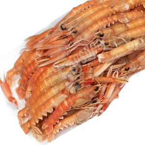 cigala escocia paellas 2kg nº5