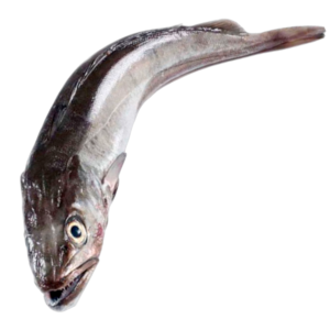 merluza de pincho gallega