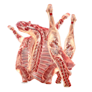lechazo entero limpio 4/6kg
